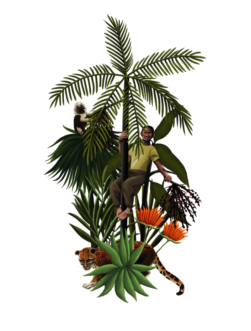 ASAI PUTUMAYO Y CAQUETÁ
